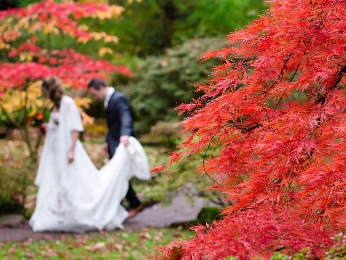 Otoño, época dorada para bodas